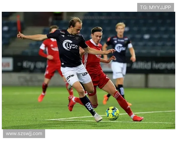 费里塔比与佐高平斯巅峰对决全解析与战术前瞻观察实力碰撞深度剖析